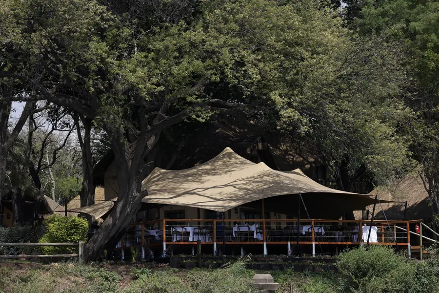The river deck among the&nbsp;trees
