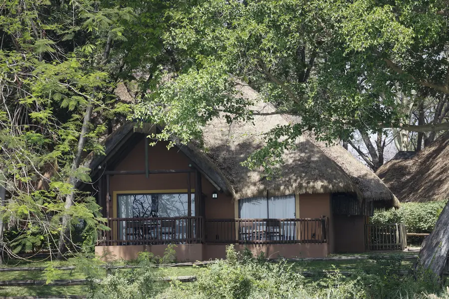 Thatched suites under the&nbsp;trees
